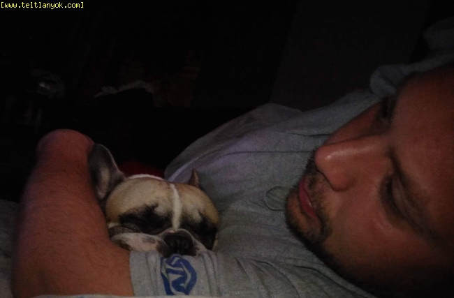 Duby